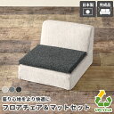 座椅子 コンパクト おしゃれ 北欧 可愛い 日本製 シンプル 一人用 クッション 和風 和室 チェア マット セットでお得 2点セット フロアチェア 一人暮らし...