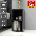 棚 ミニ 本棚 低い ミニラック オープンラック 2段 低め 黒 ベッド サイドラック 隙間収納 スリム 書類 文庫本 日本製 おしゃれ 大理石柄 ディスプレイラック 小物 小型 完成品 A4 シンプル 収納 飾り棚 北欧 ラック 背の低い 奥行30cm 文庫 ロータイプ 漫画 シェルフ ☆