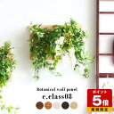 ウォールグリーン 光触媒 観葉植物 大型 フェイクグリーン 壁掛け リビング インテリア 店舗 植物 モダン 玄関 お祝い 人工観葉植物 引っ越し祝い 西海岸 南国風 ギフト 光触媒造花 造花 開店祝 プレゼント フェイク ツタ 壁 垂れ 壁面 光触媒消臭 光触媒加工 消臭 》