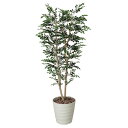 人工観葉植物 光触媒 観葉植物 大型 インテリア 大きい 人工植物 トネリコ 高さ180cm アートグリーン フェイクグリーン 光の楽園 人工樹木 造花 消臭 ...