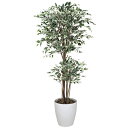 フェイクグリーン 光触媒 人工観葉植物 観葉植物 大型 インテリア 大きい 人工植物 トロピカルベンジャミン斑入り 高さ180cm アートグリーン 光の楽園 人...