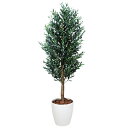 フェイクグリーン 光触媒 人工観葉植物 観葉植物 大型 インテリア 大きい 人工植物 オリーブ 高さ180cm アートグリーン 光の楽園 人工樹木 造花 消臭 ...