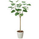 フェイクグリーン 人工観葉植物 光触媒 観葉植物 大型 インテリア 大きい 人工植物 ウンベラータ 高さ180cm アートグリーン 光の楽園 人工樹木 造花 消...