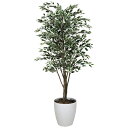 フェイクグリーン 人工観葉植物 光触媒 観葉植物 大型 インテリア 大きい 人工植物 ベンジャミンツリー斑入り 高さ160cm アートグリーン 光の楽園 人工樹...