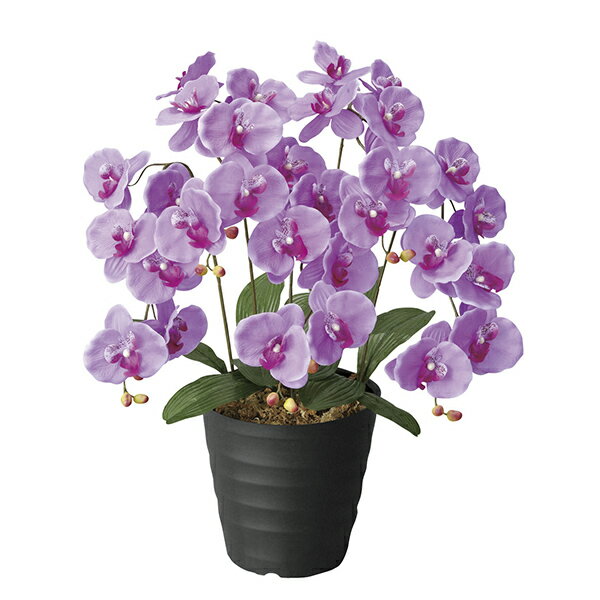 エンジェル胡蝶蘭L 光触媒 造花 観葉植物 インテリア アートフラワー 人工観葉植物 フェイクフラワー 光の楽園 空気清浄 フェイクグリーン 空気浄化 イミテーション 植物 開店祝い お祝い 花 フラワーギフト ギフト 花束 鉢植え お花 新築祝い プレゼント 結婚祝い フラワー