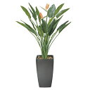 光触媒 観葉植物 大型 インテリア 大きい アートストレチア花付 高さ180cm フロアタイプ ハイサイズ フェイクグリーン 人工観葉植物 アートグリーン 光の...