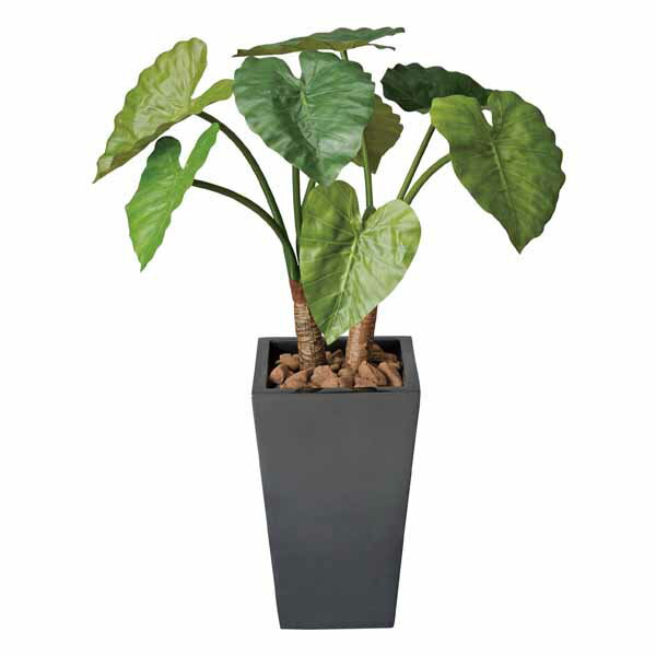 光触媒 観葉植物 くわず芋 高さ90cm フロアタイプ ミドルサイズ 人工観葉植物 アートグリーン フェイク..