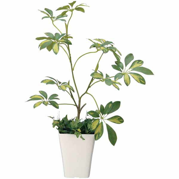 光触媒 観葉植物 シェフレラ 高さ68cm フロアタイプ ミドルサイズ 人工観葉植物 アートグリーン フェイクグリーン 光の楽園 人工植物 新築祝い プレゼント 友人 造花 消臭 抗菌 防汚 空気浄化 インテリア イミテーション 植物 観賞 フェイク グリーン 緑 リビング