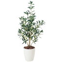 光触媒 観葉植物 アートグリーン フェイクグリーン イミテーショングリーン アート グリーン 人工観葉植物 人工 植物 リビング オフィス カフェ ギフト 新築...