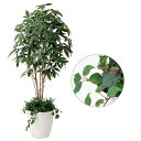 観葉植物 大型 光触媒 インテリア 大きい 人工植物 フェイクグリーン 人工樹木 アートグリーン 幸福の木 造花 抗菌 防汚 消臭 ホルムアルデヒド 除去 分解...
