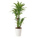 光触媒 フェイクグリーン 観葉植物 人工植物 人工樹木 アー