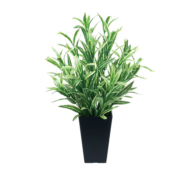 観葉植物 ミニ 光触媒 人工植物 人工観葉植物 トピアリー インテリアグリーン インテリア 造花 アートグリーン ツートンスパイダー 消臭 フェイクグリーン リアル ホルムアルデヒド 除去 分解 光の楽園 新築祝い プレゼント 友人 植物 観賞 フェイク グリーン 緑 花