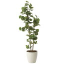 光触媒 観葉植物 植物 人工観葉植物 大型 フェイクグリーン インテリア おしゃれ 室内 ギフト 新築祝い プレゼント 友人 お祝い 開店祝い 引っ越し祝い 人...
