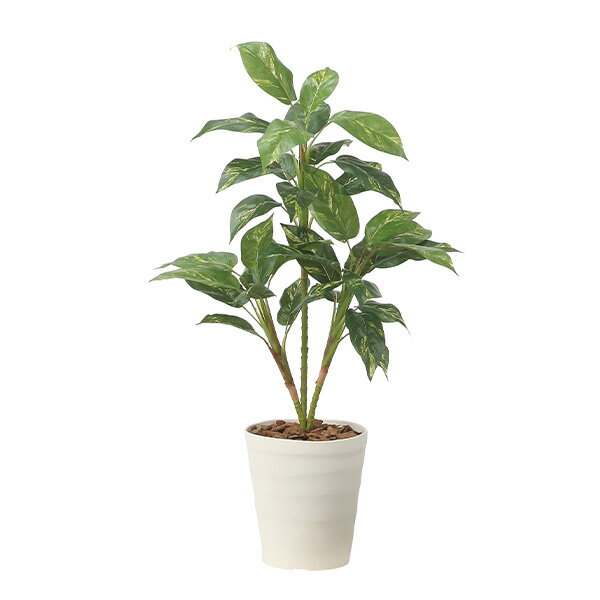 光触媒 観葉植物 植物 人工観葉植物 インテリアグリーン グリーン インテリア フェイク 人口 イミテー..