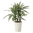 人工観葉植物 光触媒 観葉植物 フェイクグリーン インテリア インテリアグリーン 人工植物 フェイク 人口 イミテーション イミテーショングリーン アートグリー...
