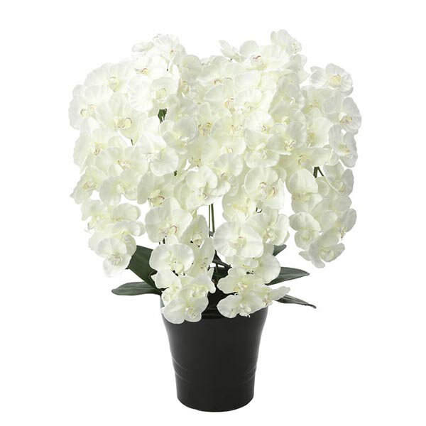 胡蝶蘭 コチョウラン ホワイト 白 造花 観葉植物 光触媒 インテリア アートフラワー フェイクフラワー フェイク フラワー 花 お花 開店祝い お祝い 美容室 ギフト イミテーショングリーン イミテーション 植物 インテリアグリーン フェイクグリーン プレミアム胡蝶蘭7本立W
