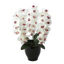 胡蝶蘭 コチョウラン ホワイト 白 造花 観葉植物 光触媒 インテリア アートフラワー フェイクフラワー フェイク フラワー 花 お花 開店祝い お祝い 美容室...