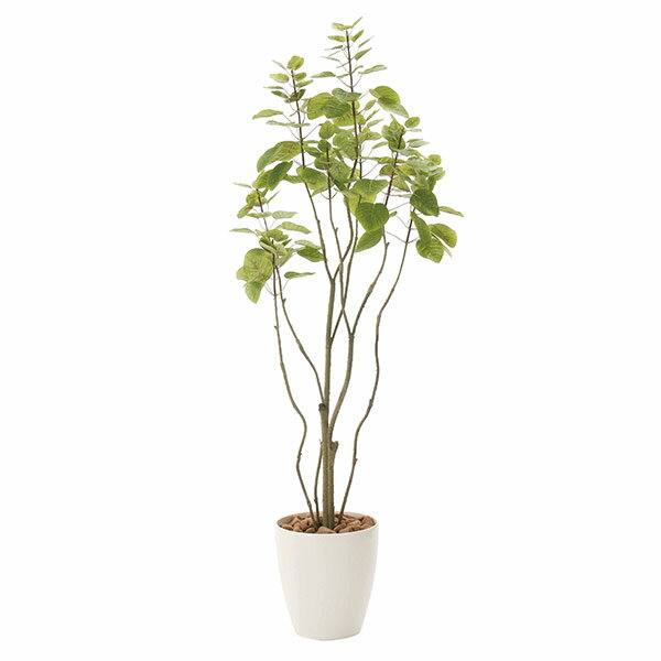 马拉巴栗 - 人工観葉植物 光触媒 観葉植物 おしゃれ フェイク フェイクグリーン インテリア アートグリーン インテリアグリーン イミテーショングリーン イミテーション 植物 お祝い 新築祝い 開店祝い ギフト 人工植物 高さ130cm フィカスブランチツリー1.3 消臭 抗菌 防汚