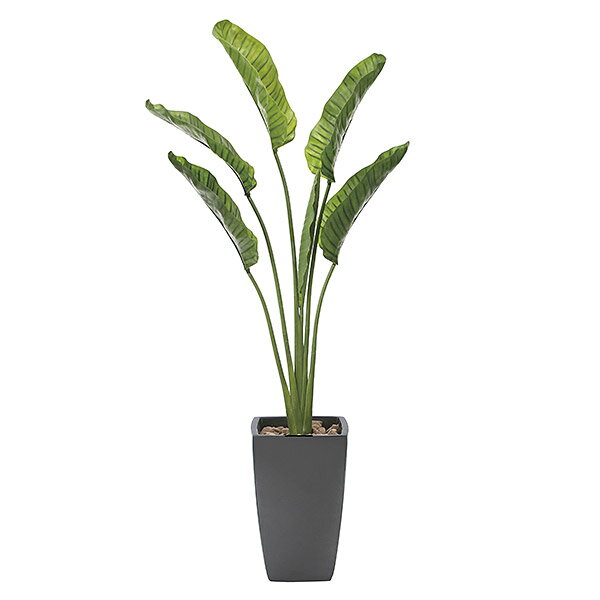 光触媒 観葉植物 植物 人工観葉植物 インテリア おしゃれ グリーン オーガスタ 高さ180cm