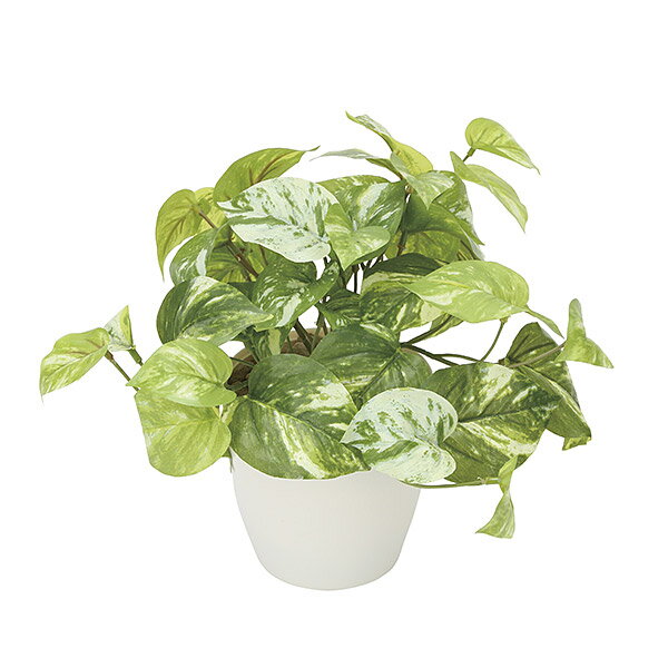 Pothos - 人工観葉植物 光触媒 ミニグリーン 観葉植物 ミニ フェイク グリーン インテリア 人工植物 高さ25cm マーブルポトス ポトス