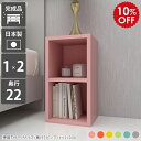 本棚 カラーボックス ラック スリム オープンラック 約奥行20 2段 a4 薄い 奥行き22cm 小さい 推し活 収納 棚 薄型 ロータイプ 絵本 サイドラック スリムラック 小型 隙間 北欧