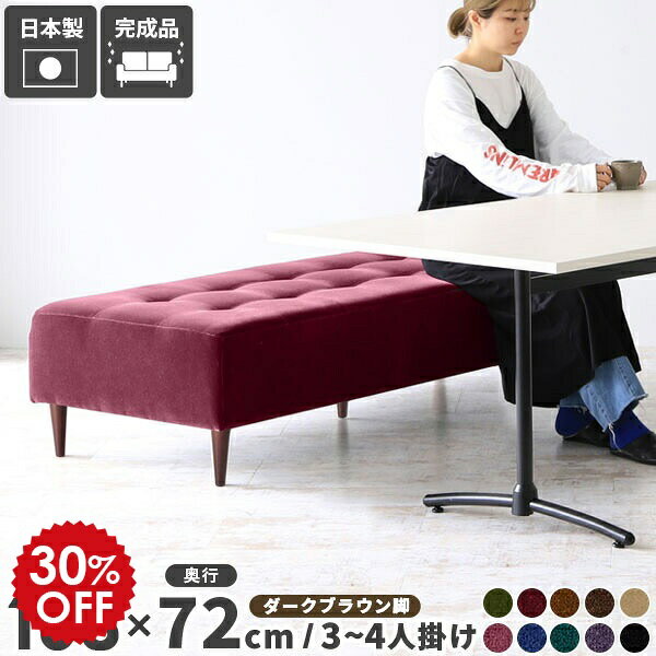 ソファー ベンチ ダイニング ベンチチェア 2.5p ソファ 3人掛け 2.5人掛け 肘なし おしゃれ アンティーク 日本製 リビング 3人掛けソファー 3人掛けソファ ベロア ローソファー ソファベンチ ソファベッド ソファーベッド 病院 いす オフィス 赤 ピンク BaggyRG3×7 □