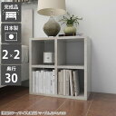オープンラック 幅50 ミニラック 2段 本棚 カラーボックス ラック 奥行30cm ディスプレイ 棚 小さい a4 ディスプレイラック 低い ロータイプ 小型...