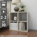 オープンラック ミニラック 2段 本棚 白 ロータイプ 棚 小さい カラーボックス ラック 奥行30cm a4 ディスプレイラック ホワイト 低い 小型 ミニ ...