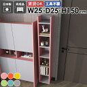 ウォールラック 壁掛けシェルフ ディスプレイラック スリムラック 収納棚 日本製 完成品 すきま収納 北欧 モダン カフェ オフィス キッチン リビング ダイニング 玄関 おしゃれ 省スペース オープンラック 幅25cm 奥行き25cm Miraiウォールラックスキマ 2525150 aino ☆(3)