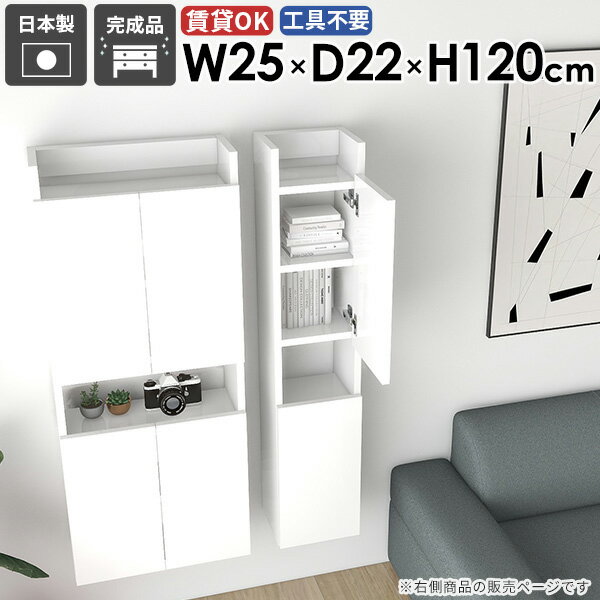 Rakuten - 壁掛けラック スリムウォールシェルフ すきま収納 賃貸 オフィス 幅25cm 省スペース ウォールキャビネット リビング 壁付け 洗面所 玄関 北欧 キッチン 奥行き22cm 完成品 トイレ カフェ おしゃれ 収納棚 石膏ボード 【MiraiウォールラックスキマDX 2522120 Nail】 ★