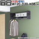 ウォールシェルフ 壁掛けラック ポールハンガー 帽子 キッチン ハンガー掛け 玄関 コートラック 壁掛け 収納 壁に付ける シンプル スリム 簡単 ラック 壁取...