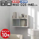 ウォールキャビネット キッチン ウォールシェルフ 壁掛け 棚 扉付き 扉付き収納 壁掛けラック 石膏ボード キャビネット 北欧 ディスプレイラック シェルフ リビング ウォールラック 賃貸 オフィス 省スペース トイレ Mirai ウォールキャビL アクリル戸 602540 marble ★(3)