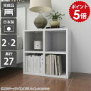 オープンラック 低め 正方形 シェルフ 幅50 ミニラック 2段 棚 白 ラック ミニ 小さい 本棚 a4 ディスプレイラック ホワイト 飾り棚 リビング収納 シンプル 小さい棚 完成品 組立不要 サイドラック 薄型 ロータイプ 低い 小型 収納 2段ラック 2×2/D27 nail ☆