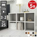 本棚 オープンラック 木製 白 カラーボックス 黒 2段 低い ロータイプ 低め ロー 木製ラック ウッドラック 奥行25cm ラック 高さ50cm マンガ本棚...