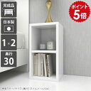 ディスプレイラック 文庫本 小型 スリムラック ミニラック 2段 棚 サイドラック 白 カラーボックス ラック ホワイト ミニ スリム ソファーサイドテーブル 本棚 小さい 低い ロータイプ 収納 シェルフ 隙間収納 すきま収納 隙間ラック 完成品 頑丈 日本製 1×2/D30 nail ☆