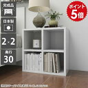 オープンラック 正方形 シェルフ 幅50 奥行30cm ミニラック 2段 棚 白 ラック ミニ 本棚 小さい ディスプレイ ディスプレイラック ホワイト サイドラック a4 二段 低い ロータイプ 小型 本箱 完成品 単行本 収納 2段ボックス 日本製 ディスプレイ収納ラック 2×2/D30 nail ☆