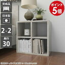 オープンラック 幅50 ミニラック 2段 本棚 カラーボックス ラック 奥行30cm ディスプレイ 棚 小さい a4 ディスプレイラック 低い ロータイプ 小型 本箱 ミニ 隙間 サイドラック 収納 二段 日本製 完成品 2段ラック 大理石調 おしゃれ 漫画 大理石風 4マス 2×2/D30 MB ☆