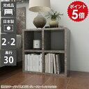 オープンラック 奥行30cm ミニラック 2段 本棚 カラーボックス ラック ミニ 棚 小さい 大理石調 収納 グレー サイドラック リビングラック a4 リビング収納 ディスプレイラック 低い ロータイプ 小型 二段 完成品 2段ボックス 日本製 おしゃれ 小さい棚 2×2/D30 GS ☆
