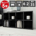 本棚 カラーボックス ディスプレイ 棚 低い オープンラック 調節 2段 a4対応 横長 ロータイプ オープンシェルフ 低め ワイド 横置き コミックラック ブックシェルフ 高級感 二段 黒 日本製 収納 ラック 文庫本 完成品 おしゃれ 文庫 書類 漫画 コミック 4×2/D35 BP ☆|詳細画像