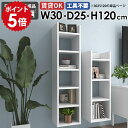 壁掛けラック ウォールシェルフ スリムラック ディスプレイラック 収納棚 北欧 モダン キッチン収納 リビング ダイニング オフィス 飾り棚 オープンラック 玄...
