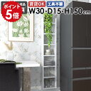 壁掛けラック ウォールシェルフ 壁面ラック ディスプレイラック 隙間収納 収納棚 日本製 完成品 北欧 モダン カフェ オフィス キッチン リビング 飾り棚 玄...