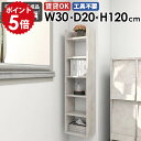 壁掛けラック ウォールシェルフ スリムラック ディスプレイラック 収納棚 日本製 完成品 北欧 モダン カフェ 書棚 キッチン収納 リビング ダイニング 飾り棚...