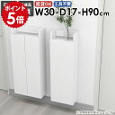 壁掛けシェルフ 壁掛けラック おしゃれ 完成品 北欧 省スペース キッチン 収納棚 リビング 洗面所 石膏ボード 賃貸 すきま収納 カフェ 壁面収納 浮かせる収...