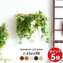 フェイクグリーン 壁掛け ウォールグリーン 人工観葉植物 光触媒 グリーン 観葉植物 新築祝い 母の日 リビング プレゼント 友人 ウォールインテリア インテリア ウォールパネル リーフパネル ギフト イミテーショングリーン アートパネル パネルアート Botanical c-08 》