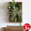 観葉植物 インテリア ウォールパネル パネル 造花 フェイクグリーン 壁掛け 光触媒 リアル 壁 フェイク ウォールグリーン リビング リビングアート 壁飾り グリーン 人工観葉植物 抗菌 消臭 新築祝い 贈り物 人工植物 おしゃれ ティランドシア 母の日 賃貸 Botanical s-11 》