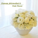 お供え 花 フラワーアレンジメント 生花 お供え アレンジメント フラワーギフト フラワー おくやみ お悔み お供花 フラワー ギフト アレンジ 命日 月命日 ...