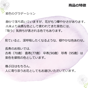 女性 紫のフラワーアレンジメント 安心して選べるお花 発表会 男性 女性へ 発表会 花 観葉植物 記念日 メッセージ コンパクト 御祝 お誕生日 フラワーアレンジメント アレンジメント お祝い 長寿 お見舞い 花 お花が好きな年上の方にも喜ばれます 記念日 ギフト送料無料 女性 紫のフラワーアレンジメント 安心して選べるお花 発表会 男性 女性へ 発表会 花 観葉植物 記念日 メッセージ コンパクト 御祝 お誕生日 フラワーアレンジメント アレンジメント お祝い 長寿 お見舞い 花 お花が好きな年上の方にも喜ばれます 記念日 ギフト送料無料
