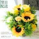 ひわまり黄色 お中元 サマーギフト お盆 花 花束 誕生日プレゼント 生花 ギフト 結婚祝い お見舞 歓送迎 結婚記念日 日頃の感謝 ウエディング 幸福 かわいい おしゃれ 指定日 お届け 最強配送 宅配