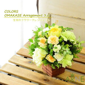 バレンタイン ホワイトデー 花 あす楽 14時まで 送料無料 ギフト 誕生日 フラワーアレンジメント 土日発送 メッセージ おまかせ アレンジメント お祝い 記念日 お見舞い 楽屋花 退職 プレゼント フラワーギフト アレンジメント おしゃれ ご自宅用 感謝 お礼 P