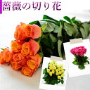 花 切り花 生花 バラ バラの切り花 花束 切花 カットフラワー 自宅用 薔薇 切花でお届け オプションで花束可能 バラの花束 フラワー フラワーギフト ギフト...